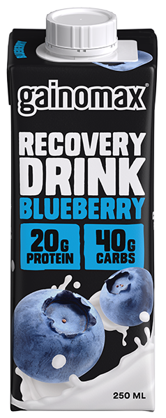 Gainomax Recovery HP Blueberry